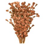 simonart and printing dry flowers 2ft