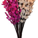 simonart and printing dry flowers 2ft