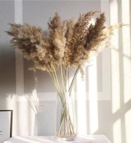 Naturally Dried Pampas Stems (Brown) - Set Of 10 size 3 ft